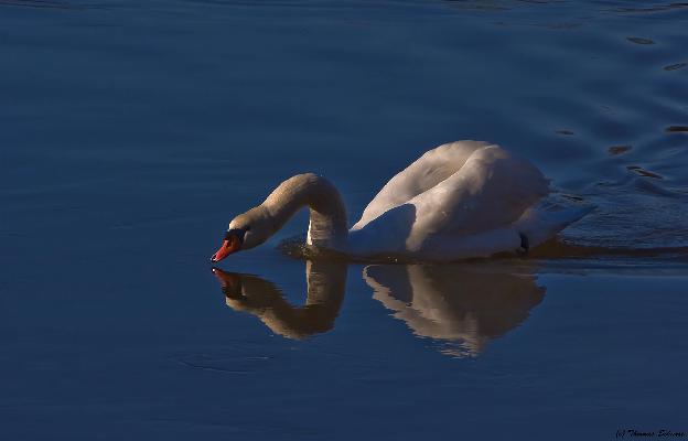 /gallery/Aschaffenburg/Innenstadt/01.jpg