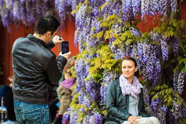 /gallery/Aschaffenburg/Innenstadt/IMG_9105Web.jpg